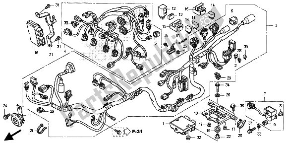 All parts for the Wire Harness of the Honda CB 600F Hornet 2013