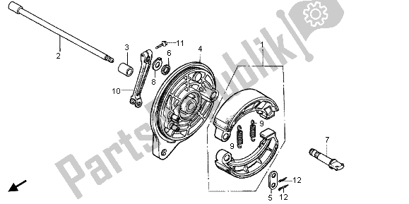 All parts for the Rear Brake Panel of the Honda VT 750 CA 2006