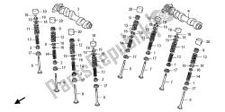 árbol de levas y válvula (trasera)
