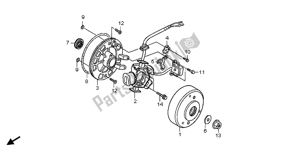 All parts for the Generator of the Honda CRF 50F 2008