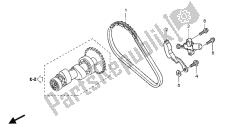 cadena de levas y tensor