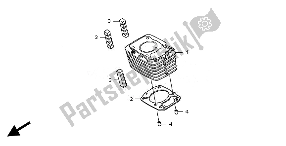 All parts for the Cylinder of the Honda CBF 125M 2010