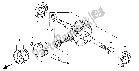 All parts for the Crankshaft & Piston of the Honda PES 150 2007