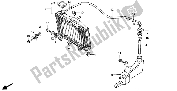 All parts for the Radiator of the Honda NSR 50S 1994