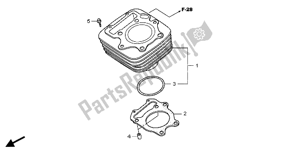 All parts for the Cylinder of the Honda TRX 300 EX Sportrax 2007