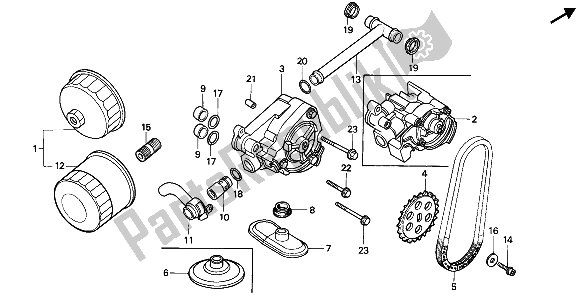 All parts for the Oil Filter & Oil Pump of the Honda VT 600C 1988