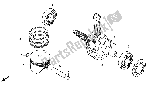 All parts for the Piston & Crankshaft of the Honda NX 650 1993