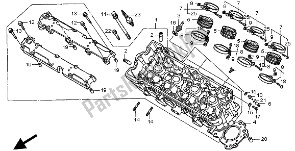 All parts for the Cylinder Head of the Honda CB 600F Hornet 1999