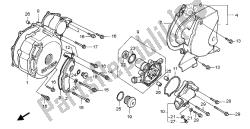 LEFT CRANKCASE COVER & WATER PUMP