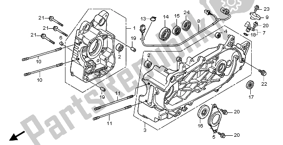 All parts for the Crankcase of the Honda FES 125 2006