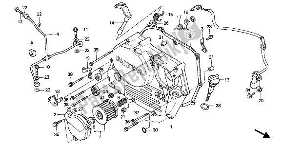 Tutte le parti per il Coperchio Carter Destro del Honda XR 250R 1989