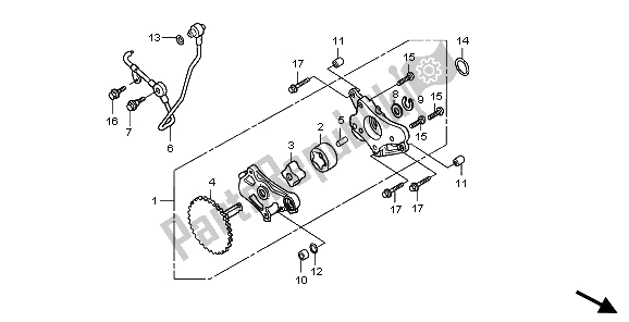 All parts for the Oil Pump of the Honda TRX 300 EX Sportrax 2007