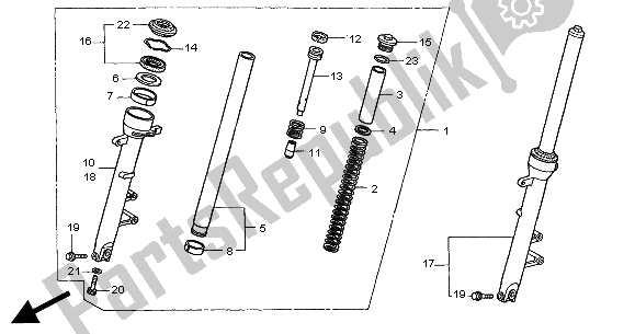 All parts for the Front Fork of the Honda CB 600F Hornet 2000