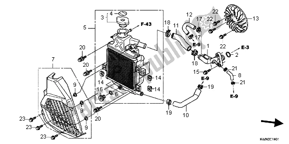 Toutes les pièces pour le Radiateur du Honda WW 125 2013