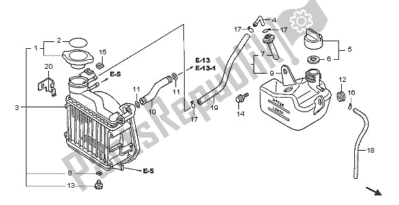 All parts for the Radiator of the Honda NPS 50 2005