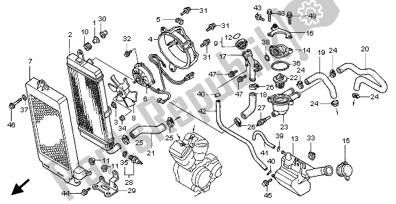 All parts for the Radiator of the Honda VT 750C 1999