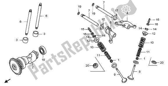 Todas las partes para árbol De Levas de Honda TRX 250 EX Sporttrax 2003