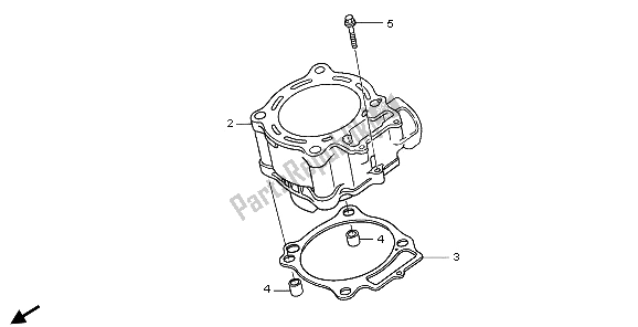 All parts for the Cylinder of the Honda CRF 250X 2006