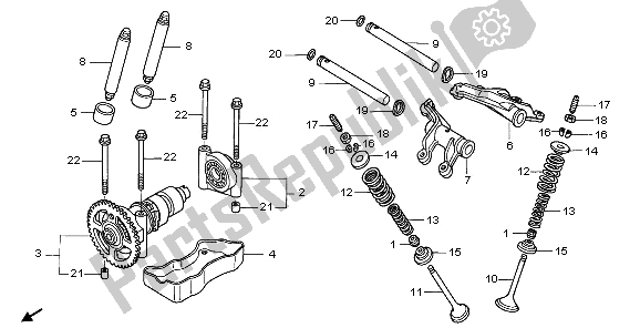 Wszystkie części do Wa? Ek Rozrz? Du I Zawór Honda TRX 650 FA Fourtrax Rincon 2003