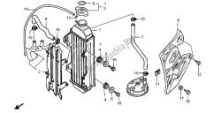 termosifone