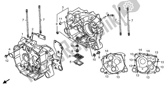 All parts for the Crankcase of the Honda TRX 250X 2011