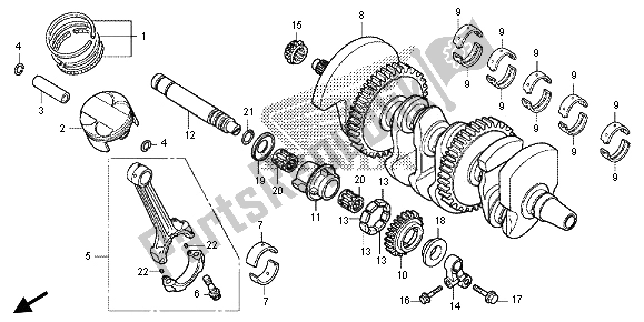 All parts for the Crankshaft & Piston of the Honda CB 1000 RA 2013
