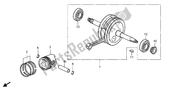 All parts for the Crankshaft & Piston of the Honda CRF 50F 2007