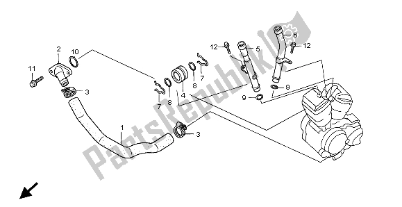 Tutte le parti per il Tubo Dell'acqua del Honda VT 600C 1998