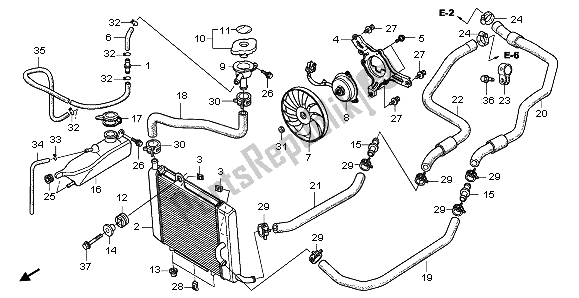 All parts for the Radiator of the Honda NSS 250A 2009