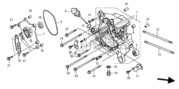 All parts for the Right Crankcase of the Honda SH 125 AD 2013