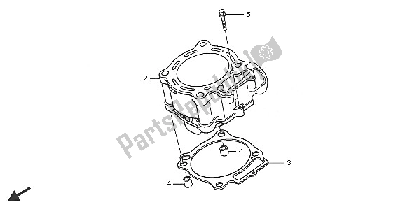 All parts for the Cylinder of the Honda CRF 250X 2005