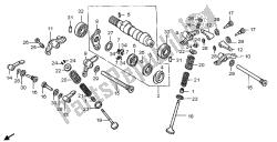 CAMSHAFT & VALVE