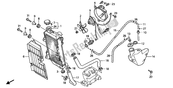 All parts for the Radiator of the Honda NX 250 1989