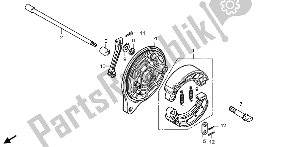 All parts for the Rear Brake Panel of the Honda VT 750C 2009