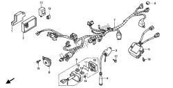 WIRE HARNESS & IGNITION COIL