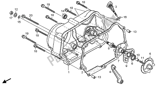 All parts for the Right Crankcase Cover of the Honda CRF 50F 2009