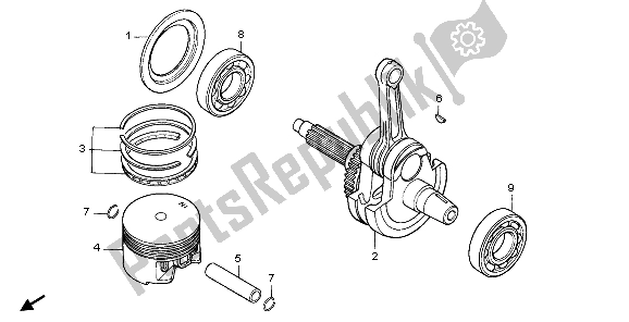 All parts for the Crankshaft & Piston of the Honda XR 600R 1998