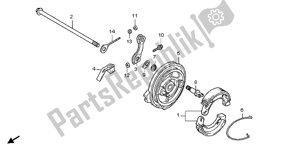 All parts for the Rear Brake Panel of the Honda CRF 50F 2007