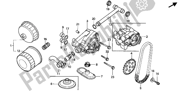 All parts for the Oil Filter & Oil Pump of the Honda VT 600 CM 1991