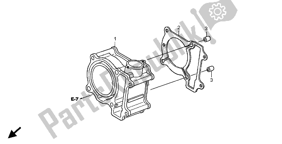 All parts for the Cylinder of the Honda SH 125 2009