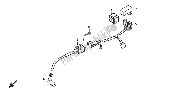 All parts for the Wire Harness & Ignition Coil of the Honda CRF 70F 2005