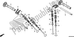 CAMSHAFT/VALVE