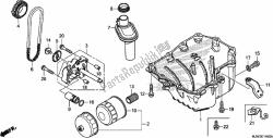 Oil Pan/oil Pump