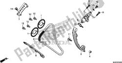 CAM CHAIN/TENSIONER