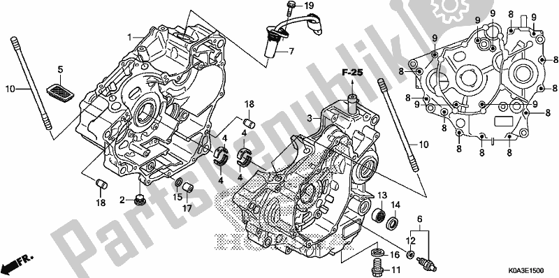 Alle onderdelen voor de Carter van de Honda CBF 300 RA 2019