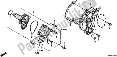 All parts for the Water Pump of the Honda CBR 1000S1 2017