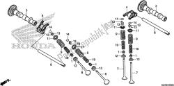 CAMSHAFT/VALVE