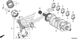 CRANKSHAFT/PISTON