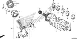 vilebrequin / piston