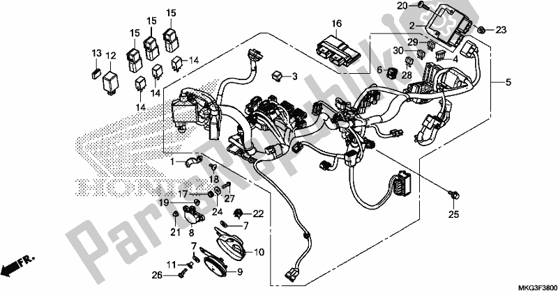 All parts for the Wire Harness of the Honda CMX 500A 2017